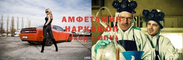 СК Новозыбков